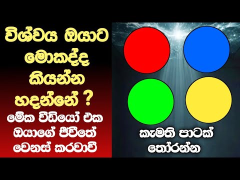 දෙසැම්බර් 31 වෙනිදට කලින් බලන්න l බැලුවොත් 2025 ඔයාගේ ජීවීතේ හොදම අවුරුද්ද වේවී