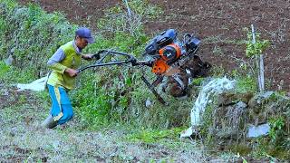 Cultivator Tilling Potatoes Land: Turning Soil, Growing Spuds!