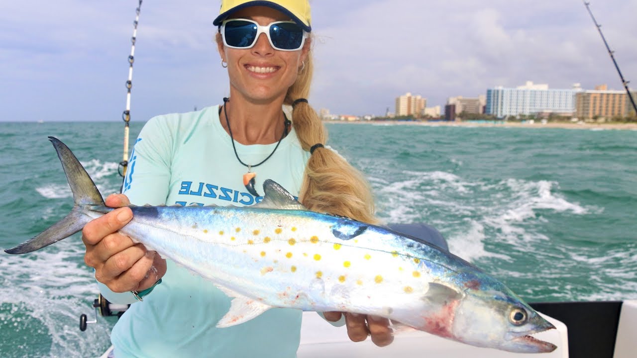 Deep Sea Fishing for SPANISH MACKEREL & More!