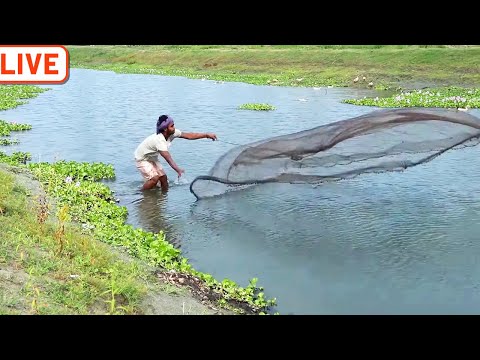Net Fishing Video - Fish Catching With Cast Net in The Beautiful Natural Canal