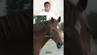 Try Not To Laugh 😂😂 194 #trynottolaugh #funny #shorts