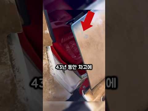 43년간 봉인된 자동차의 '숨겨진' 충격적인 비밀