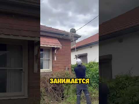 Работает всего за 1$?😳🤯😬