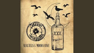 Seagulls and Moonshine