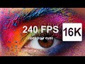 16K VIDEOS  World 16K Videos with SUPER ULTRA-HD  (240FPS)  Sony Demo