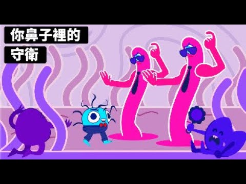 你的呼吸過程 ???? - 動畫故事 - YouTube