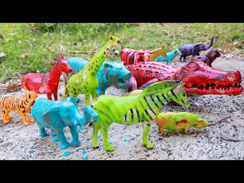 รถบรรทุกดั้มพาสัตว์ไประบายสี Painting toy animals