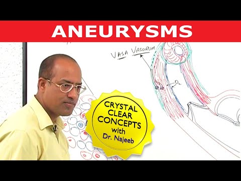 dr najeeb lectures on neuroanatomy