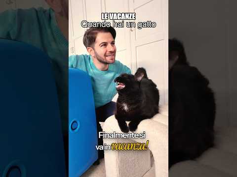 Gatto a casa o in vacanza? 🏠 🏝️ #cat #vacanza #gatto