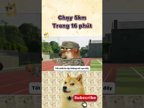Tân binh chạy 5km trong 16 phút | Cheems nhạt nhẽo  #cheems #haihuoc #giaitri