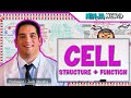 Cellular Functions and Organelles