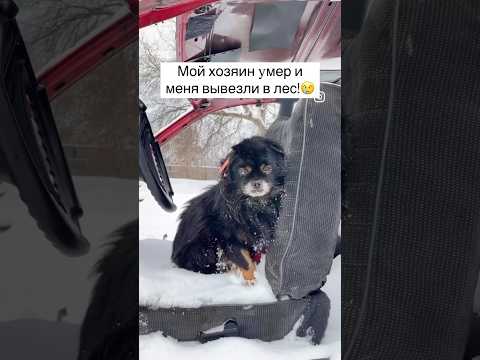 🥳Тоша дома!🥂