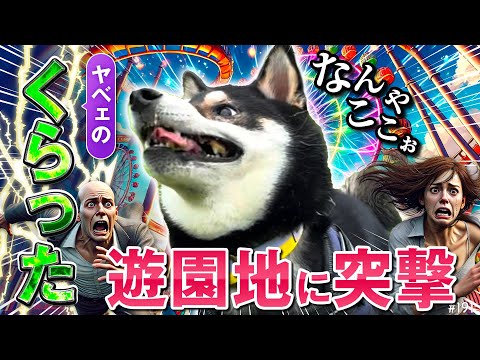 情緒不安定になってしまった柴犬と遊園地に突撃