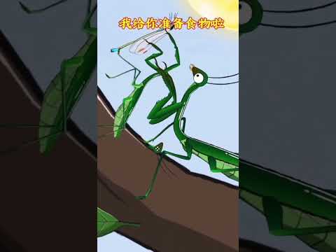 DUBBING LUCU VIRAL : BELALANG MAKAN CAPUNG #viral #fyp #shorts #dubbing #funny #lucu