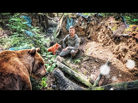 СРЕДИ МЕДВЕДЕЙ | РАЗРУШЕННАЯ ЗЕМЛЯНКА В ГЛУХОЙ ТАЙГЕ 🐻🌲 КТО УКРАЛ ФОТОЛОВУШКУ? В ПОХОД ПО ИЗБАМ