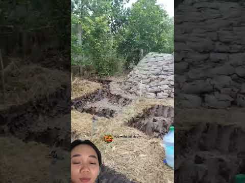 Bí mật của nông dân trồng sầu riêng tại miền Tây