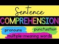 Understanding Context and Meaning in Sentences