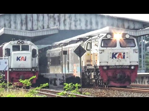 NEMU TEMPAT TERSEMBUNYI, HUNTING KERETA TAPI MASUK RUMAH SAKIT