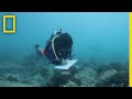 Coral Reef Management and Conservation