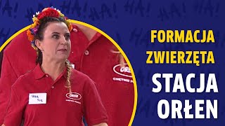 FORMACJA ZWIERZĘTA I STACJA PALIW ORŁEN