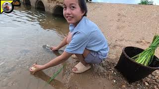 แสนจะงดงาม 17 พฤษภาคม ค.ศ. 2026