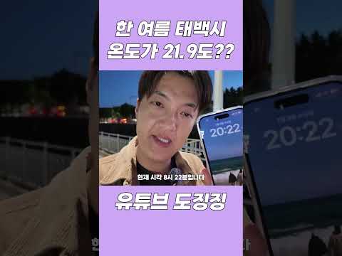 한 여름 태백시 온도가 21.9도????