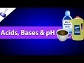 Exploring Acids, Bases, and the pH Scale