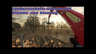 LS25 Schwesing #036 l Holz vor der Hütte