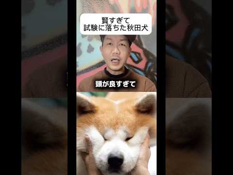 ハイスペックすぎた秋田犬 #解説 #雑学 #警察犬 #アメリカ