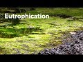 Environmental Impact and Sustainability Concepts