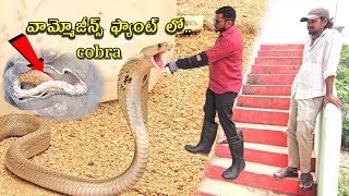 #Indian #sprectacled cobra snake Rescue || వామ్మో జీన్స్ ఫ్యాంట్ లో ఏముందో చూడండి😱😱 7396969617