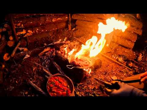 Solo Bushcraft Survival Camping In The Wilderness, Outdoor Cooking