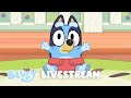 Lessons from Bluey and Bingo