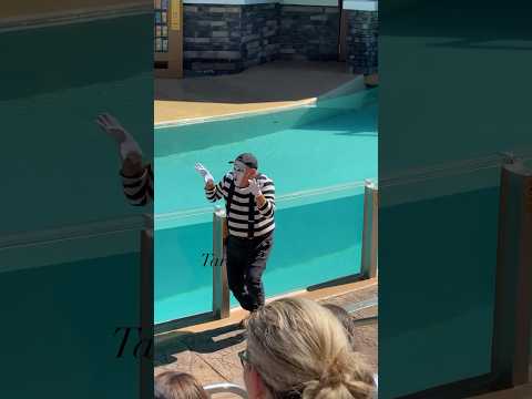 Tom the Mime | Tom Brings a Scare for Halloween 🎃 😁😁