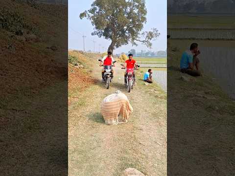 What's inside the lungi? #funny