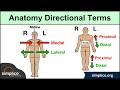Anatomical Terminology and Positions