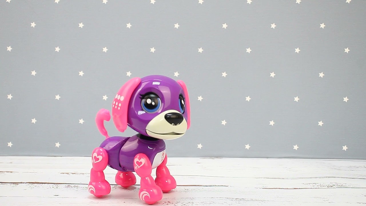 Собака говорящая в ассортименте - видео Собака говорящая в ассортименте - видео