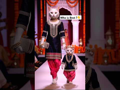 Cat and Kitten Walk with New Look😻🔥 #cat #baby #shorts #trending