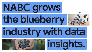 New Way Now: How NABC is growing the blueberry industry with BigQuery and Looker