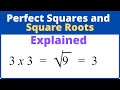 Square Roots and Perfect Squares