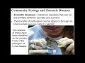 Pathogens and Disease Transmission