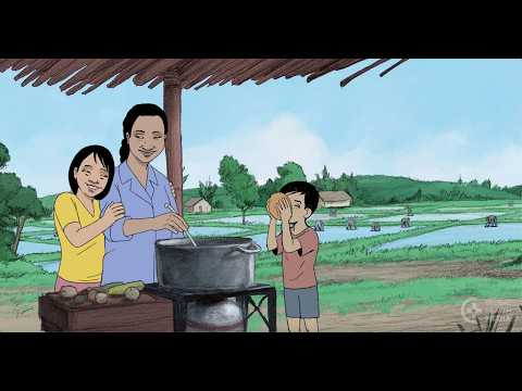 The Story of Sugar