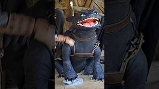 Ruffnut, Tuffnut, Toothless & Hiccup at Epic Universe!  #shorts #howtotrainyourdragon