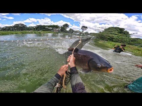 UMA BATALHA ÉPICA COM O MAIOR PEIXE DE ESCAMA DO MUNDO !