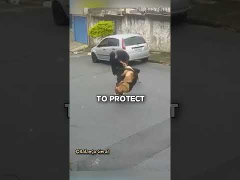 Heroic Dog Owner Saves His Pup from German Shepherd!
