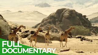 Wildlife At The Limits - Wet And Dry | Free Documentary Nature
