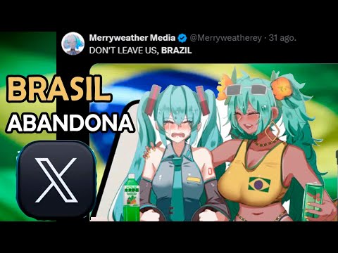 X Twitter es Cerrado en BRASIL | Explicacion