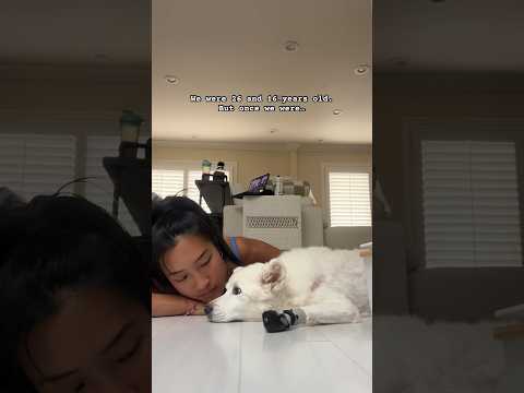 the hardest goodbye 🤍🐾 miss you, buddy
