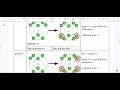 Understanding Ions and the Octet Rule