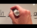 Phonetics and Sound Units